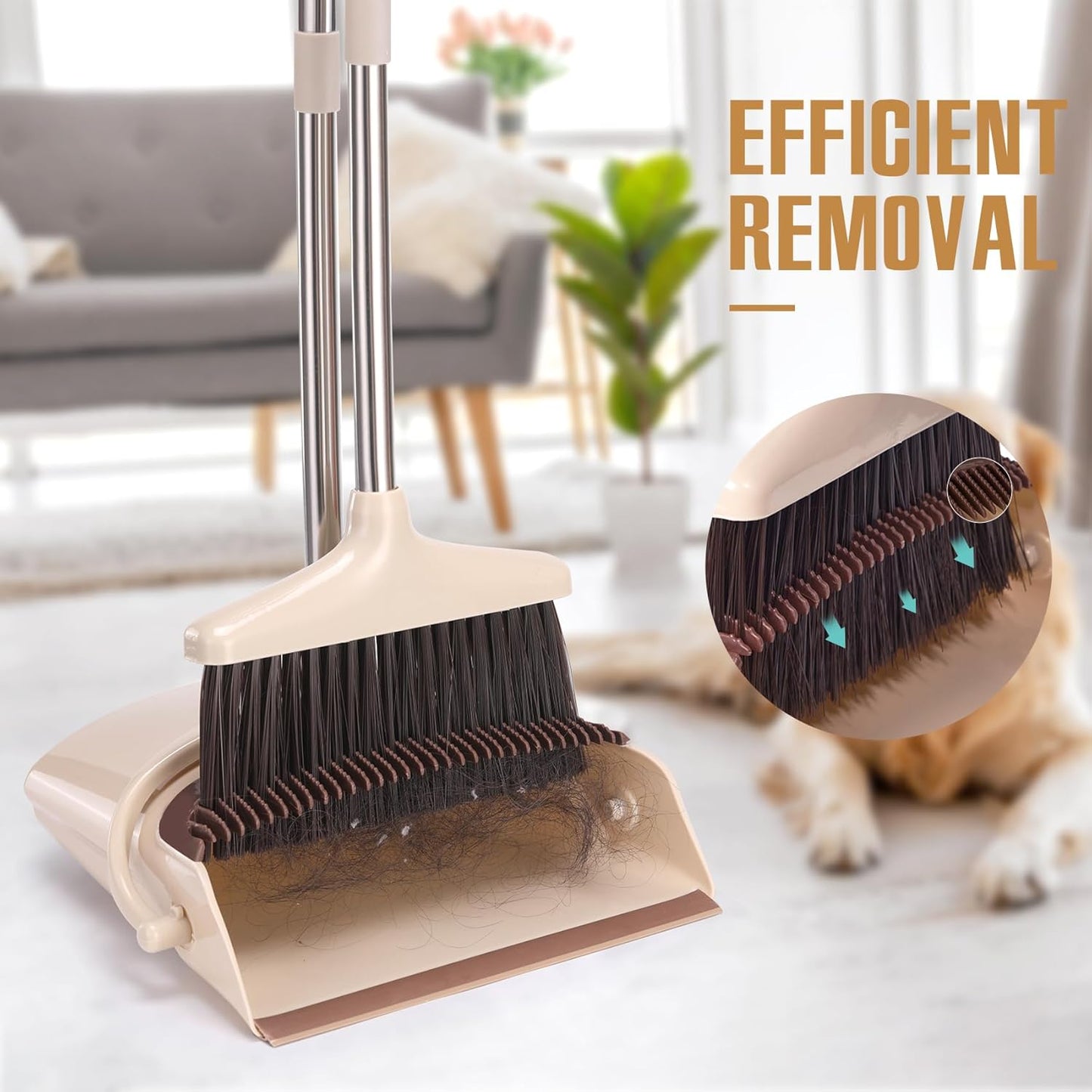 Broom and Dustpan Set with Long Handle